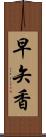 早矢香 Scroll