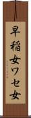 早稲女 Scroll