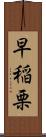 早稲栗 Scroll