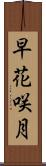 早花咲月 Scroll