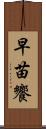 早苗饗 Scroll