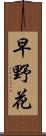 早野花 Scroll