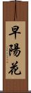 早陽花 Scroll