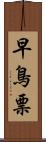 早鳥票 Scroll