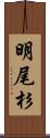 明尾杉 Scroll