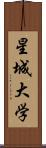 星城大学 Scroll