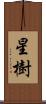 星樹 Scroll