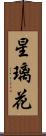 星璃花 Scroll