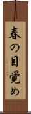 春の目覚め Scroll