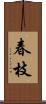 春枝 Scroll