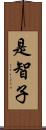 是智子 Scroll