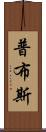 普布斯 Scroll