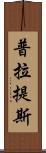 普拉提斯 Scroll