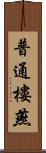 普通樓燕 Scroll