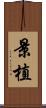 景植 Scroll