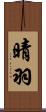 晴羽 Scroll