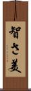 智さ美 Scroll