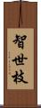 智世枝 Scroll