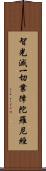 智光滅一切業障陀羅尼經 Scroll