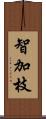 智加枝 Scroll