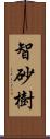 智砂樹 Scroll