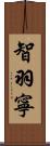 智羽寧 Scroll