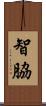 智脇 Scroll