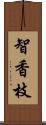 智香枝 Scroll