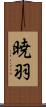 暁羽 Scroll