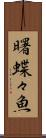 曙蝶々魚 Scroll