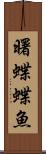 曙蝶蝶魚 Scroll