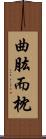 曲肱而枕 Scroll