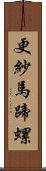 更紗馬蹄螺 Scroll