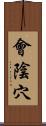 會陰穴 Scroll