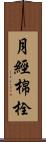 月經棉栓 Scroll