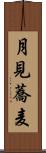 月見蕎麦 Scroll