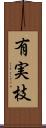 有実枝 Scroll