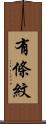 有條紋 Scroll