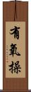 有氧操 Scroll