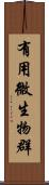 有用微生物群 Scroll