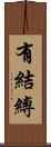 有結縛 Scroll