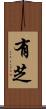 有芝 Scroll