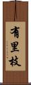 有里枝 Scroll