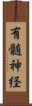 有髄神経 Scroll