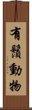 有鬚動物 Scroll
