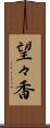 望々香 Scroll