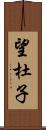 望杜子 Scroll