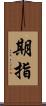 期指 Scroll