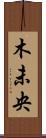 木未央 Scroll