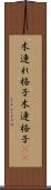木連れ格子 Scroll